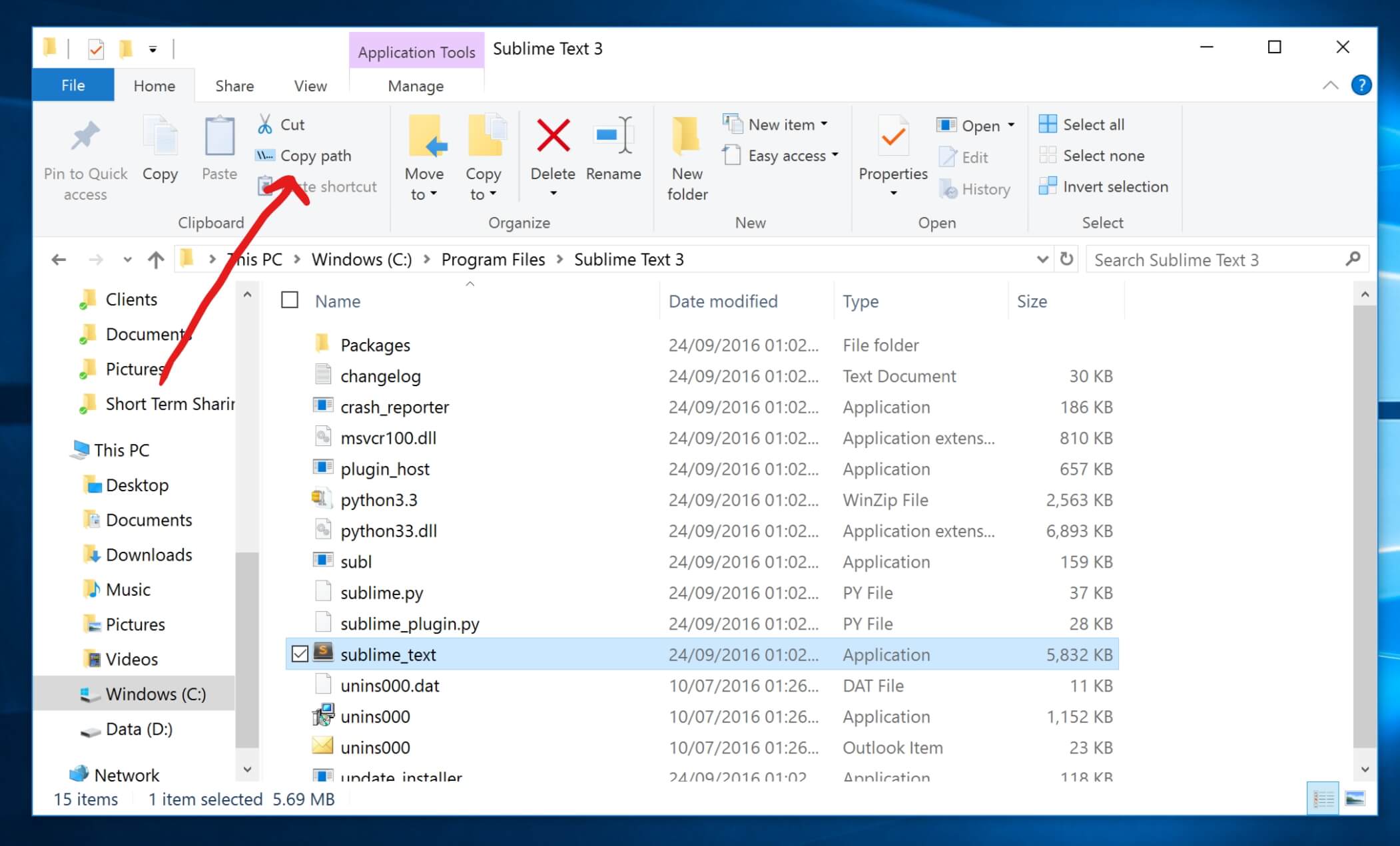 An image showing where the copy full path button is inside the windows file explorer
